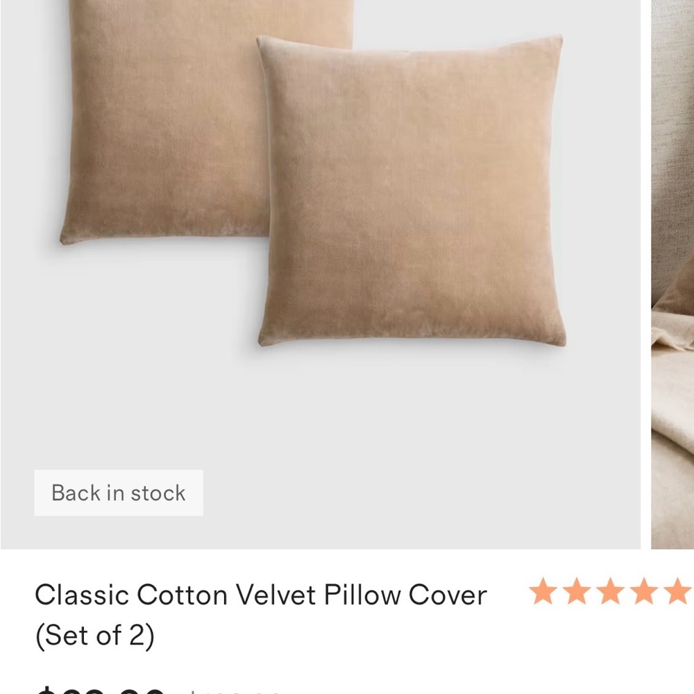 Quince Classic Cotton Velvet Pillow Cover Set - Beige